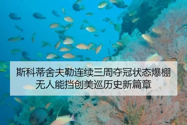 si-ke-di-she-fu-lei-lian-xu-san-zhou-duo-guan-zhuang-tai-bao-peng-wu-ren-neng-dang-chuang-mei-xun-li-shi-xin-pian-zhang-3-335.jpg